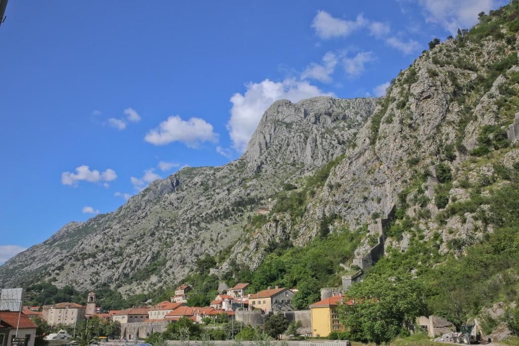 Апартаменты Apartman Tina Gurdic Котор